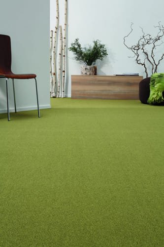 Minimalist room with light green carpet flooring