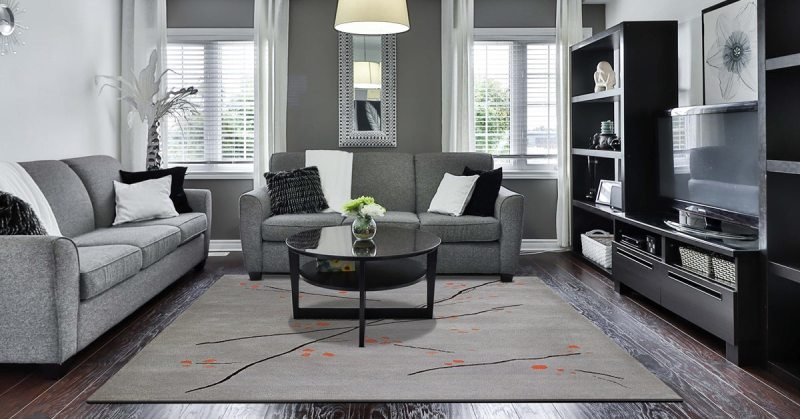Modern gray carpet living room