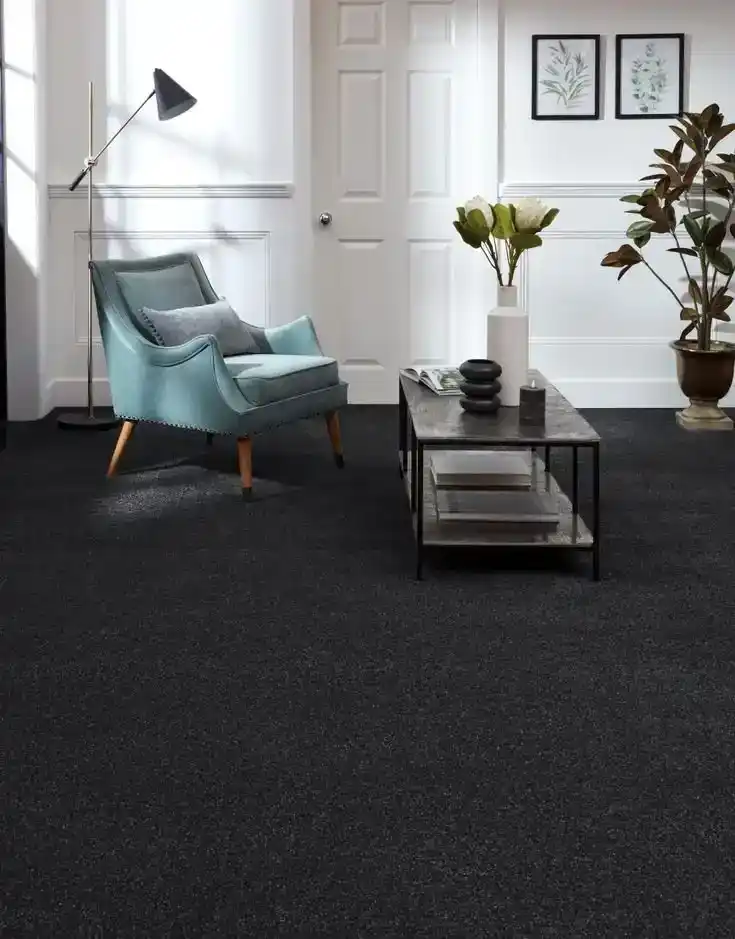 Luxurious black rug in modern living room with elegant furniture and decorative plants.